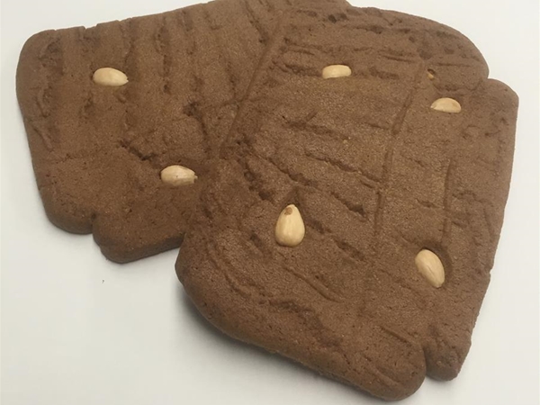 Dikke Speculaas